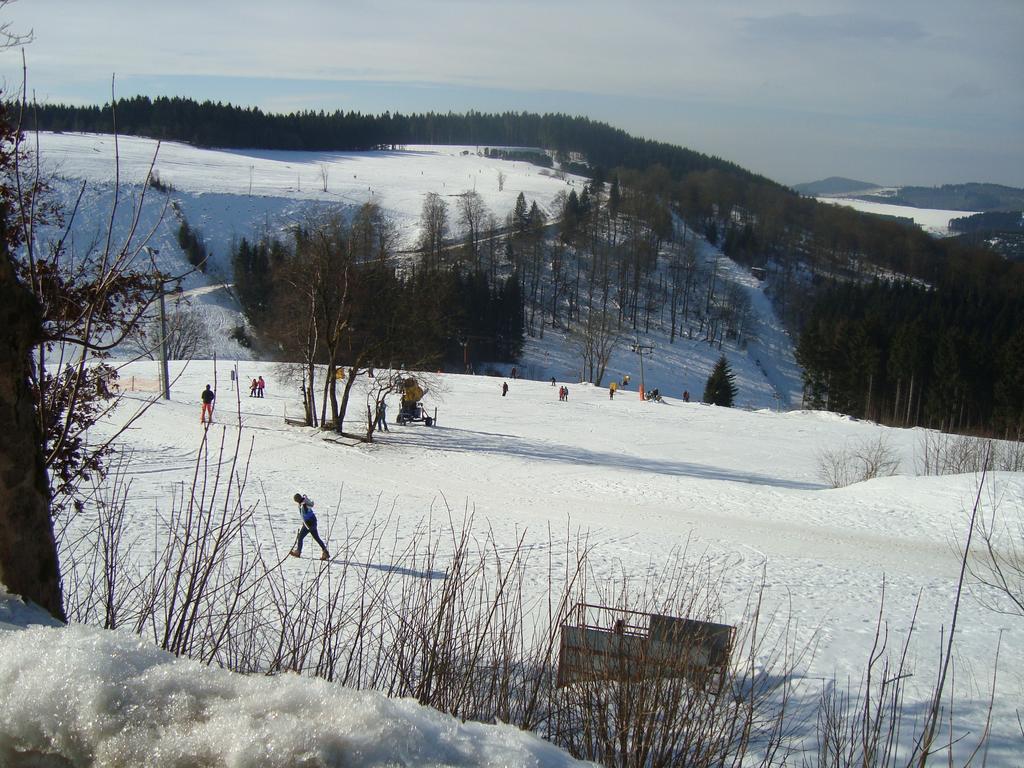 Skihang 100 Meter Vom App Bergfrieden Appartement Winterberg Kamer foto