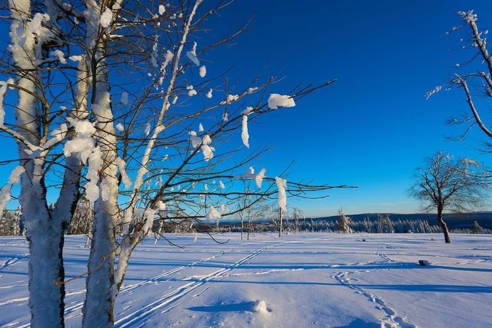 Skihang 100 Meter Vom App Bergfrieden Appartement Winterberg Buitenkant foto