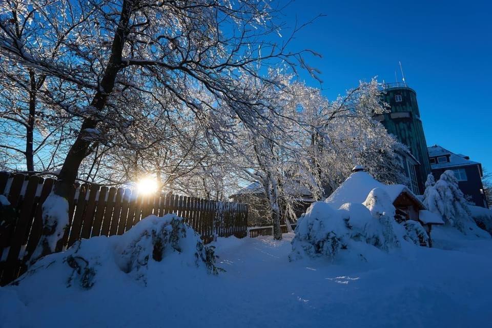 Skihang 100 Meter Vom App Bergfrieden Appartement Winterberg Buitenkant foto