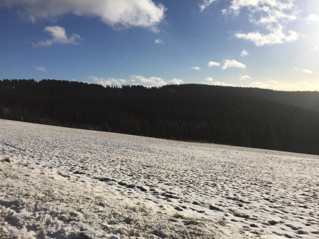 Skihang 100 Meter Vom App Bergfrieden Appartement Winterberg Buitenkant foto