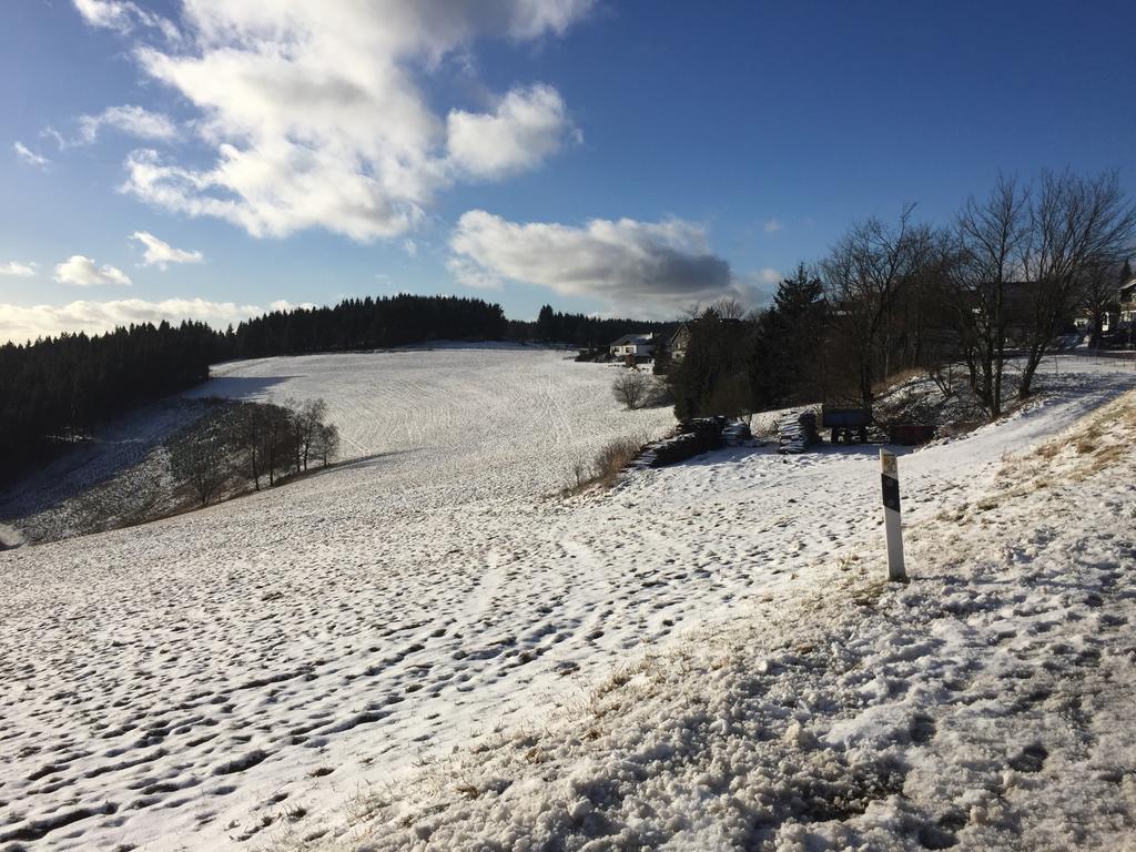 Skihang 100 Meter Vom App Bergfrieden Appartement Winterberg Buitenkant foto