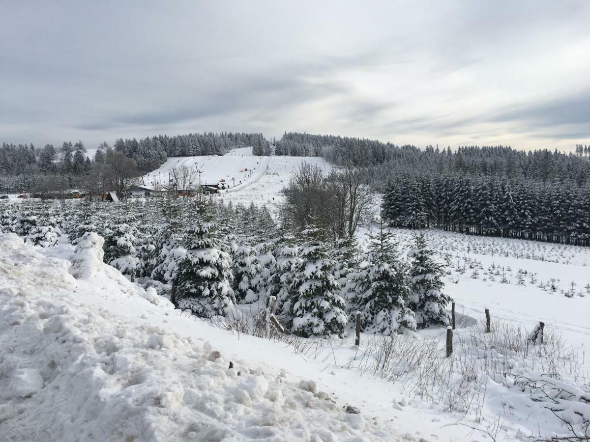 Skihang 100 Meter Vom App Bergfrieden Appartement Winterberg Buitenkant foto